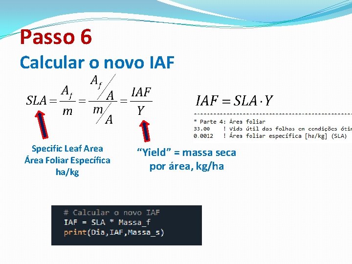 Passo 6 Calcular o novo IAF Specific Leaf Area Área Foliar Específica ha/kg “Yield”