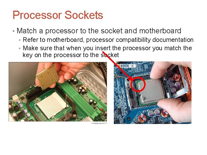 Processor Sockets • Match a processor to the socket and motherboard • Refer to