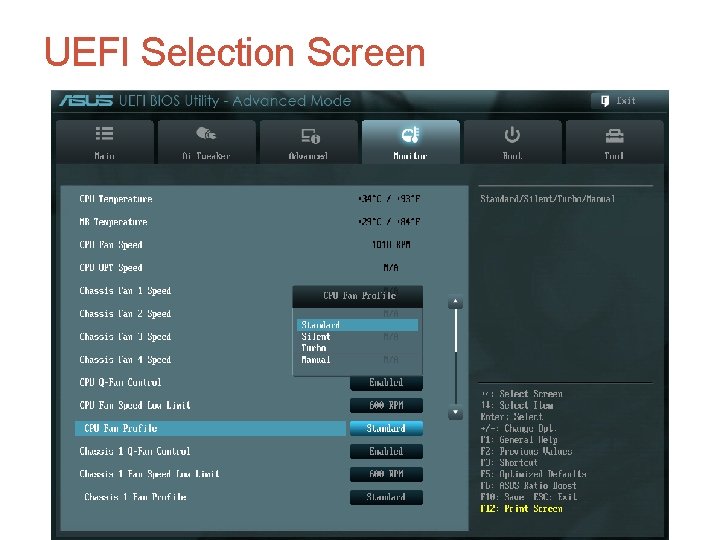 UEFI Selection Screen 