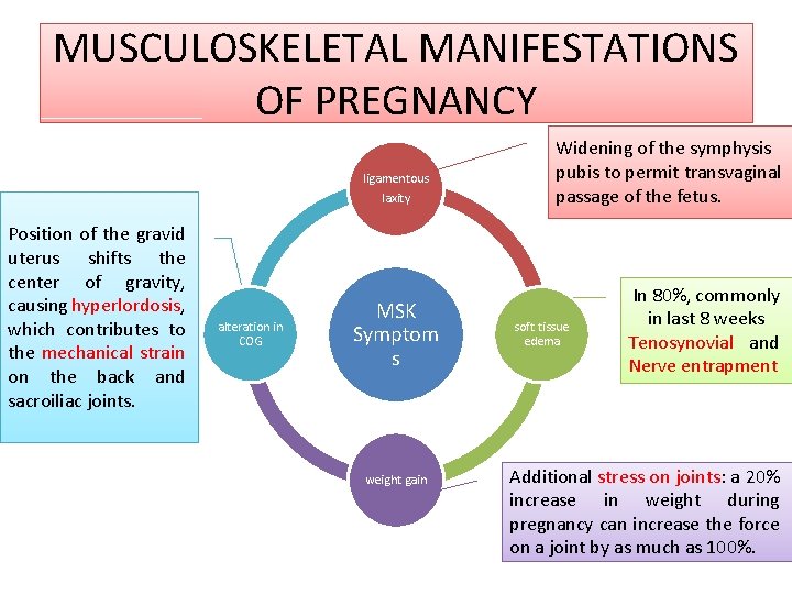 MUSCULOSKELETAL MANIFESTATIONS OF PREGNANCY ligamentous laxity Position of the gravid uterus shifts the center