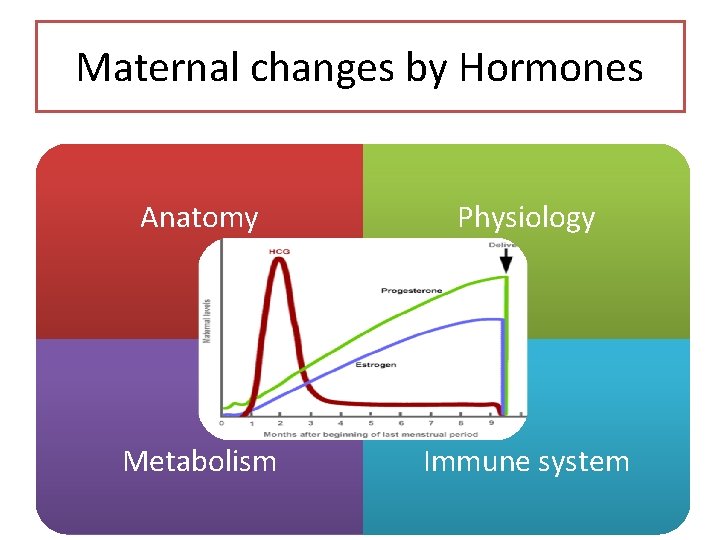 Maternal changes by Hormones Anatomy Physiology Metabolism Immune system 