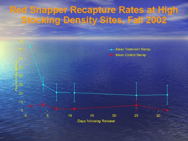 Red Snapper Recapture Rates at High Stocking Density Sites, Fall 2002 