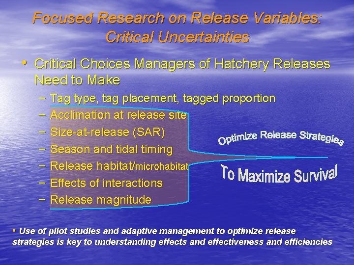 Focused Research on Release Variables: Critical Uncertainties • Critical Choices Managers of Hatchery Releases