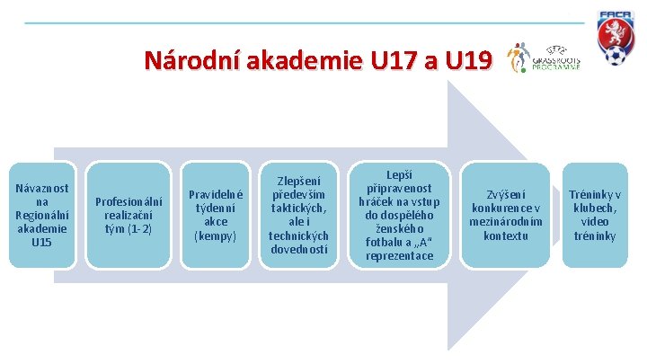 Národní akademie U 17 a U 19 Návaznost na Regionální akademie U 15 Profesionální