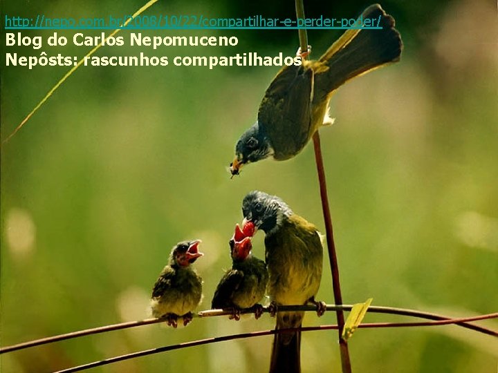 http: //nepo. com. br/2008/10/22/compartilhar-e-perder-poder/ Blog do Carlos Nepomuceno Nepôsts: rascunhos compartilhados 