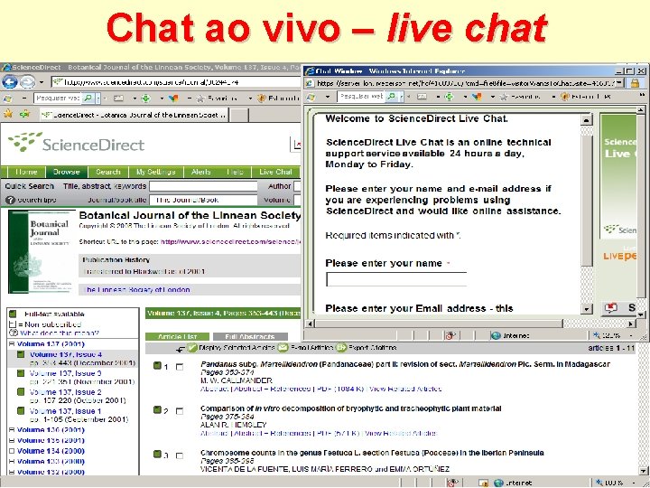 Chat ao vivo – live chat 