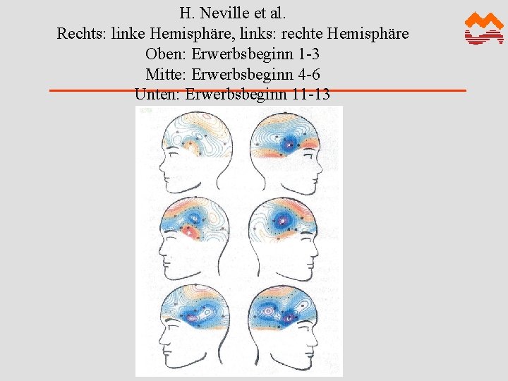 H. Neville et al. Rechts: linke Hemisphäre, links: rechte Hemisphäre Oben: Erwerbsbeginn 1 -3