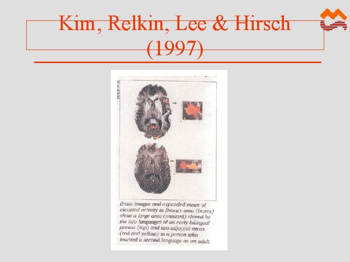 Kim, Relkin, Lee & Hirsch (1997) 