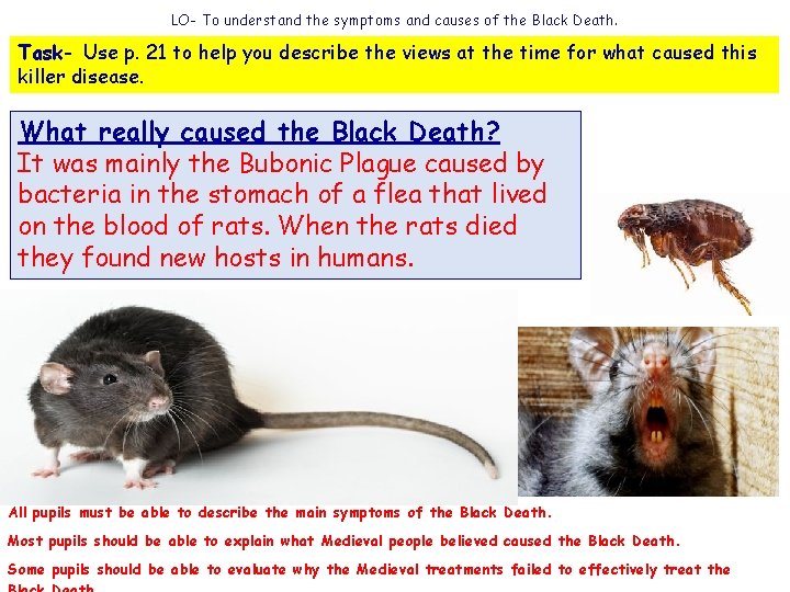 LO- To understand the symptoms and causes of the Black Death. Task- Use p.