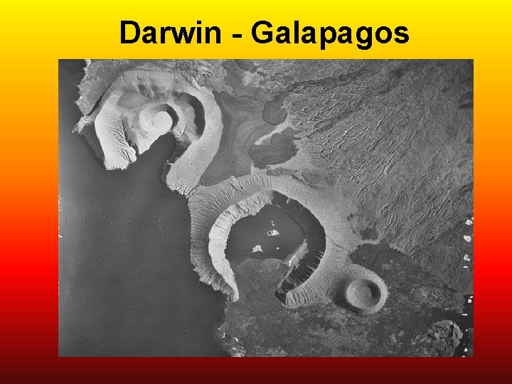 Darwin - Galapagos 