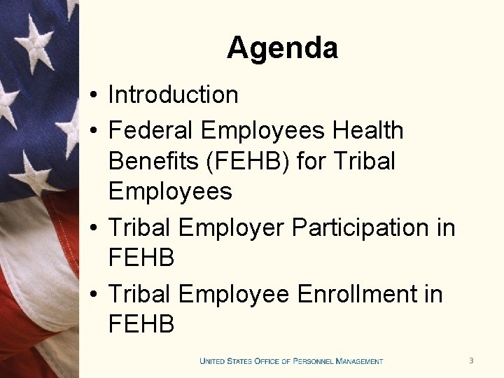 Agenda • Introduction • Federal Employees Health Benefits (FEHB) for Tribal Employees • Tribal