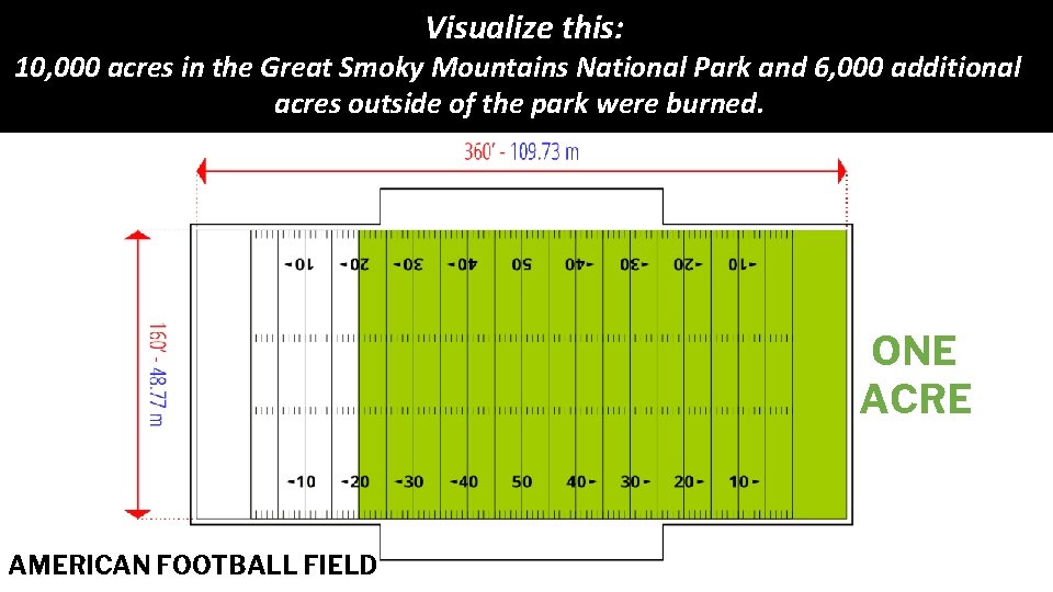 Visualize this: 10, 000 acres in the Great Smoky Mountains National Park and 6,