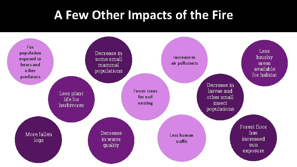 A Few Other Impacts of the Fire Fox population exposed to bears and other