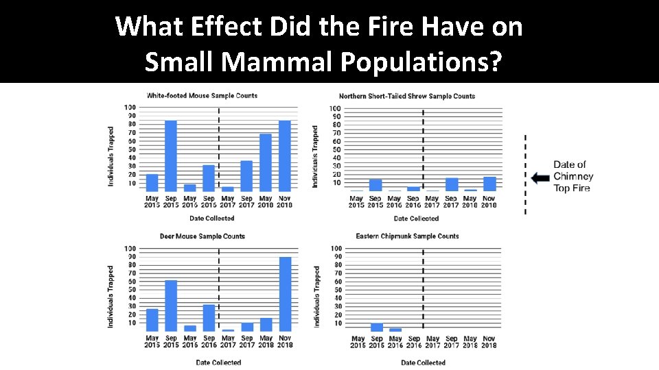 What Effect Did the Fire Have on Small Mammal Populations? 