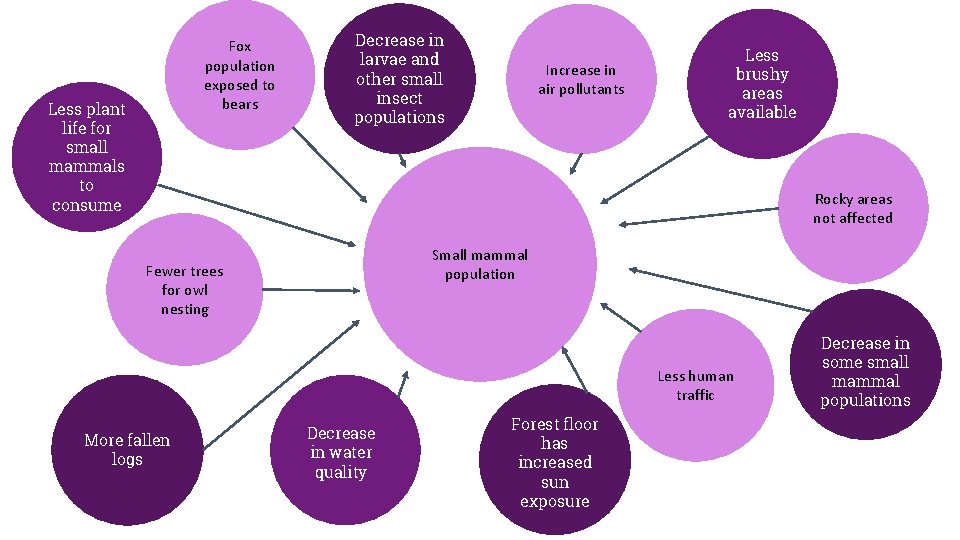 Fox population exposed to bears Less plant life for small mammals to consume Decrease