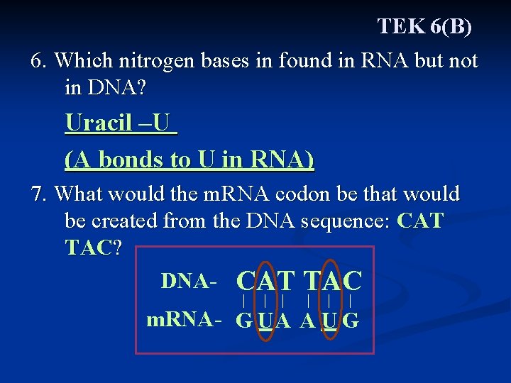 TEK 6(B) 6. Which nitrogen bases in found in RNA but not in DNA?