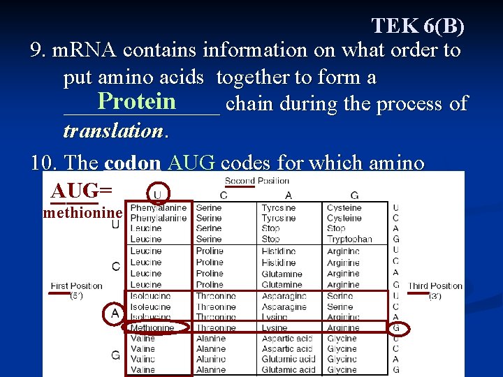 TEK 6(B) 9. m. RNA contains information on what order to put amino acids