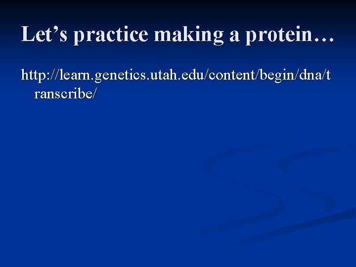 Let’s practice making a protein… http: //learn. genetics. utah. edu/content/begin/dna/t ranscribe/ 