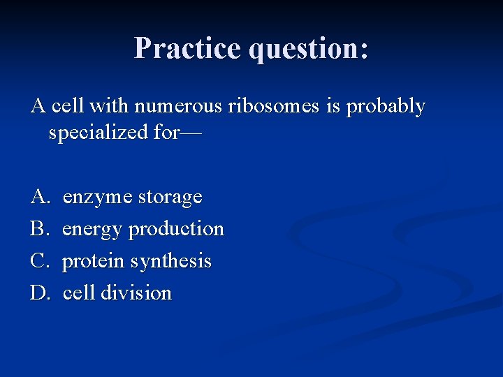 Practice question: A cell with numerous ribosomes is probably specialized for— A. B. C.