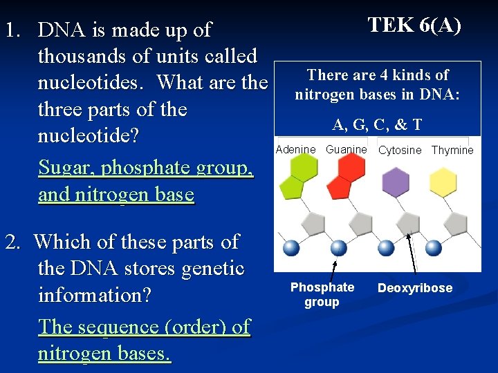 TEK 6(A) 1. DNA is made up of thousands of units called There are