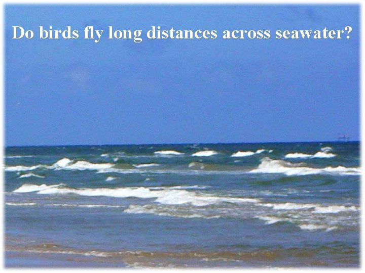 Do birds fly long distances across seawater? 