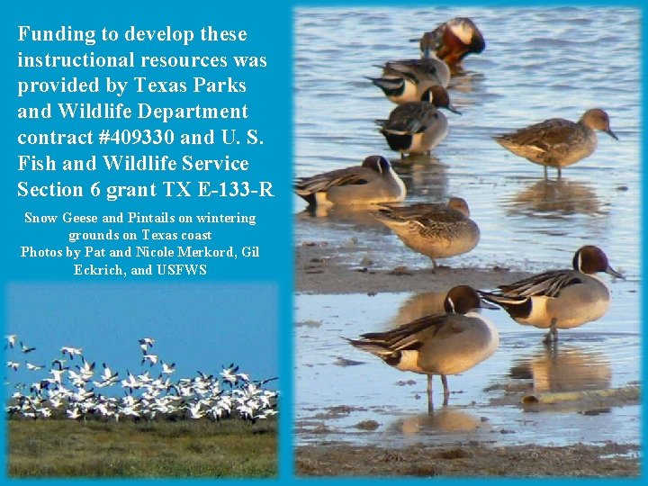 Funding to develop these instructional resources was provided by Texas Parks and Wildlife Department