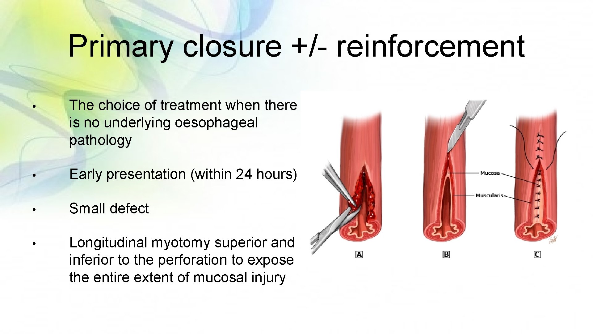 Primary closure +/- reinforcement • The choice of treatment when there is no underlying
