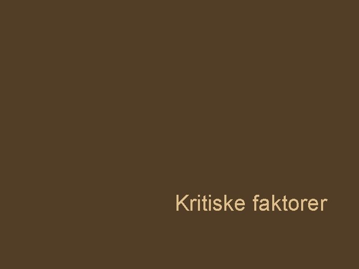 Kritiske faktorer 