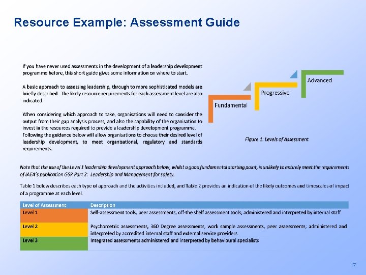 Resource Example: Assessment Guide 17 