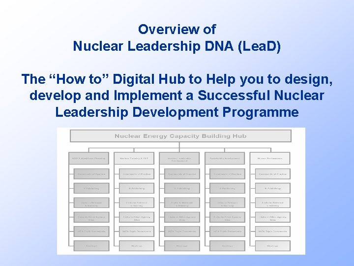 Overview of Nuclear Leadership DNA (Lea. D) The “How to” Digital Hub to Help