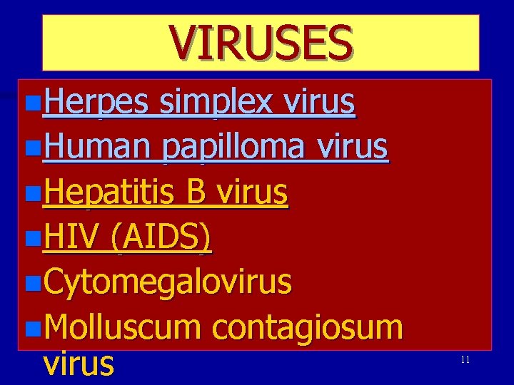 VIRUSES n. Herpes simplex virus n. Human papilloma virus n. Hepatitis B virus n.