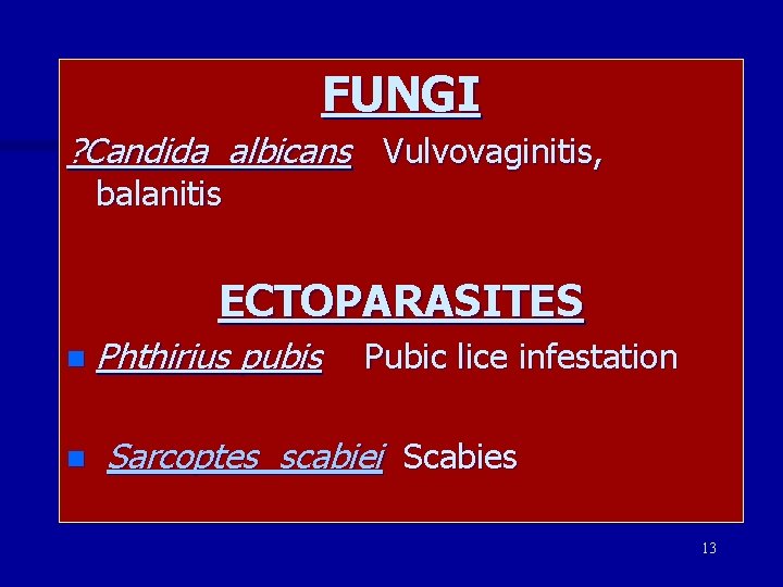 FUNGI ? Candida albicans Vulvovaginitis, balanitis ECTOPARASITES n n Phthirius pubis Pubic lice infestation