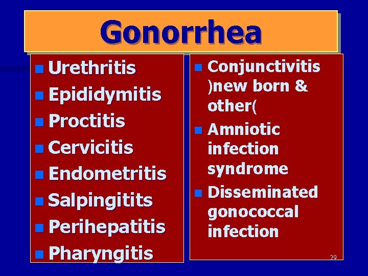 Gonorrhea n Urethritis n Epididymitis n Proctitis n Cervicitis n Endometritis n Salpingitits n