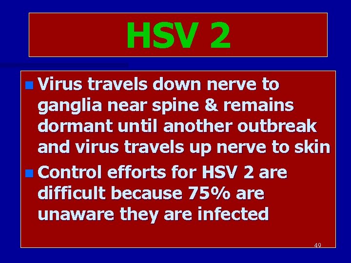 HSV 2 n Virus travels down nerve to ganglia near spine & remains dormant
