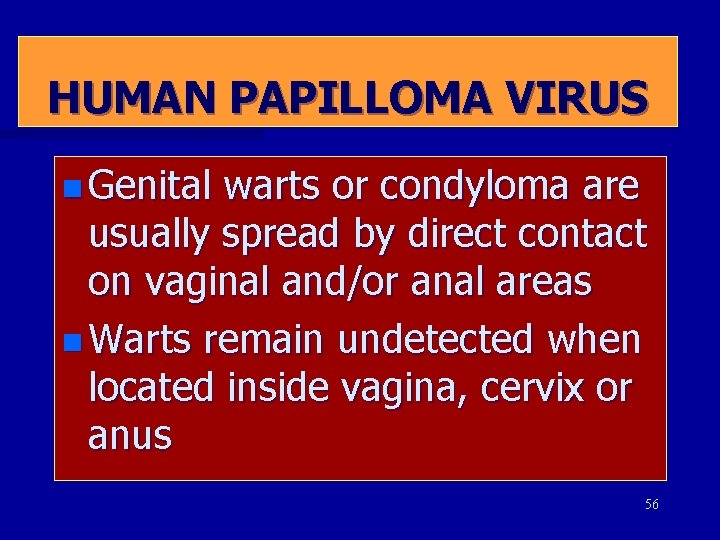 HUMAN PAPILLOMA VIRUS n Genital warts or condyloma are usually spread by direct contact