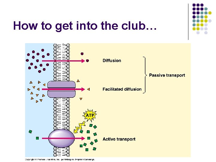 How to get into the club… 