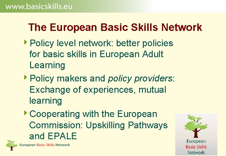 The European Basic Skills Network 4 Policy level network: better policies for basic skills