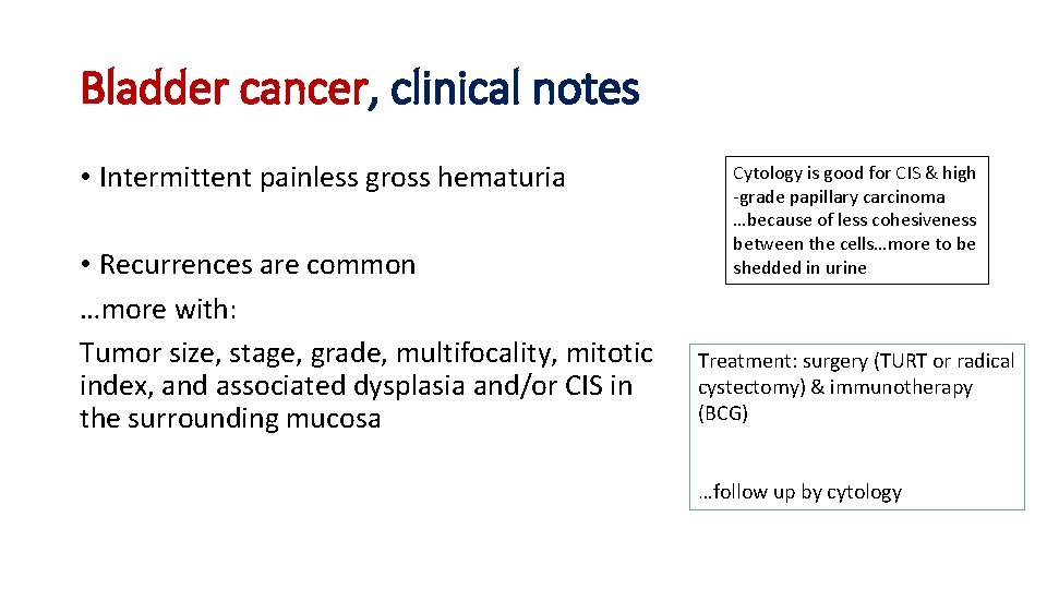 Bladder cancer, clinical notes • Intermittent painless gross hematuria • Recurrences are common …more