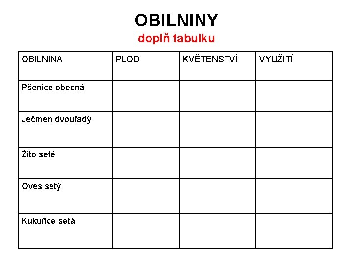 OBILNINY doplň tabulku OBILNINA Pšenice obecná Ječmen dvouřadý Žito seté Oves setý Kukuřice setá