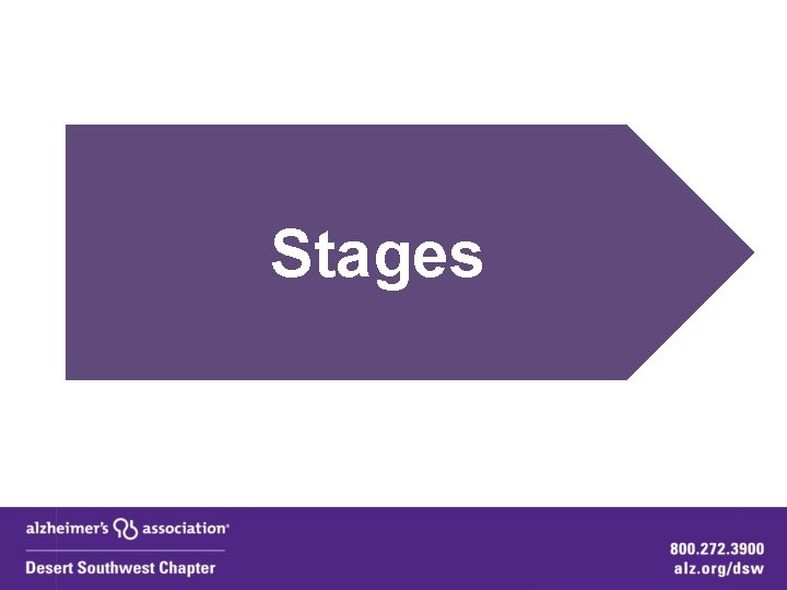 Stages 