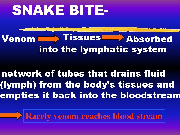 SNAKE BITEVenom Tissues Absorbed into the lymphatic system network of tubes that drains fluid