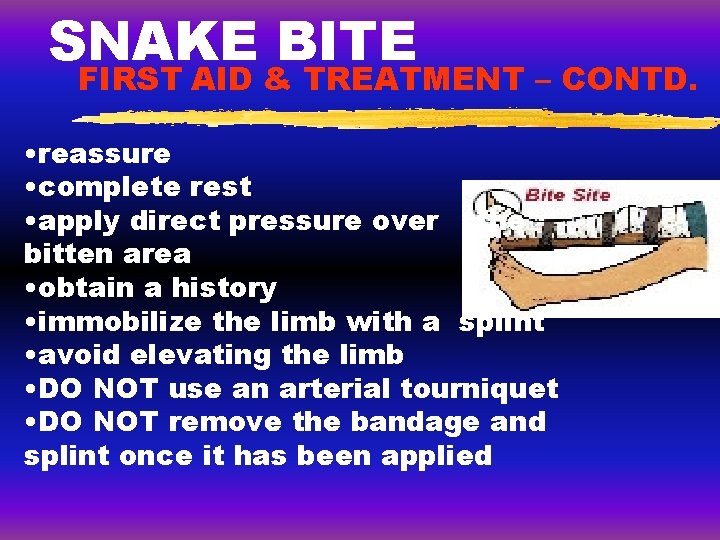SNAKE BITE FIRST AID & TREATMENT – CONTD. • reassure • complete rest •