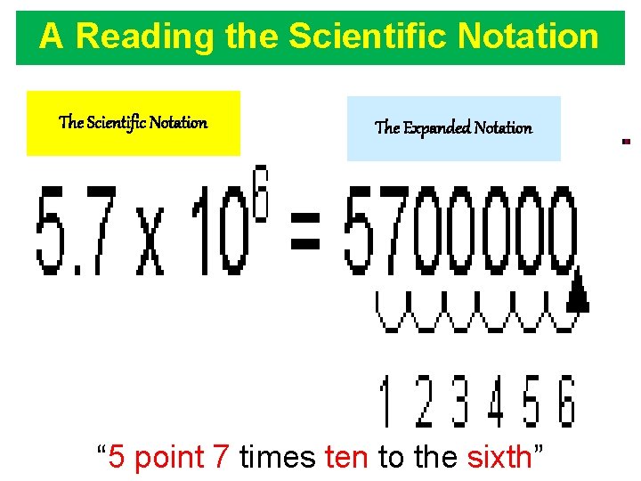 1 2 Laboratory and Reporting Skills The Scientific