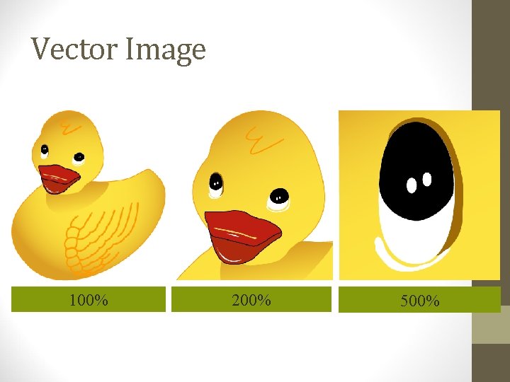 Vector Image 100% 200% 500% 