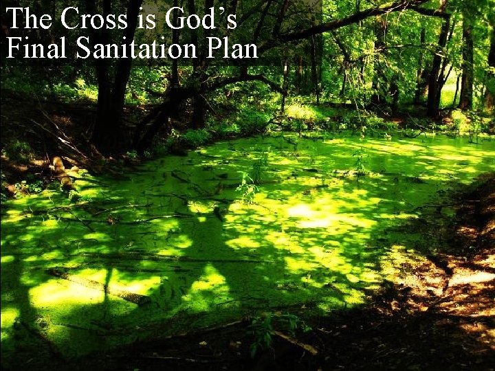 The Cross is God’s Final Sanitation Plan 