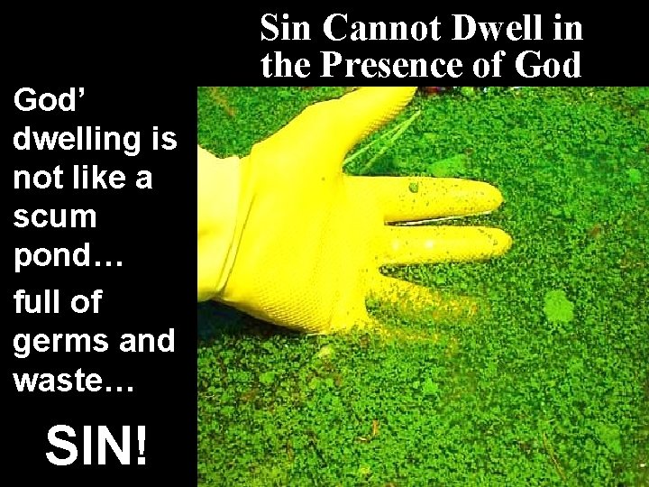 God’ dwelling is not like a scum pond… full of germs and waste… SIN!