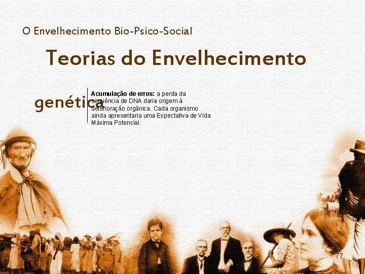 O Envelhecimento Bio-Psico-Social Teorias do Envelhecimento Acumulação de erros: a perda da sequência de