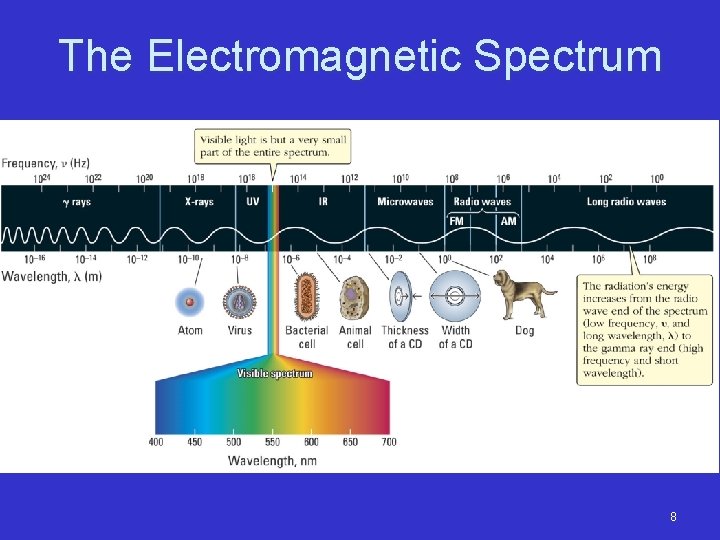 The Electromagnetic Spectrum 8 