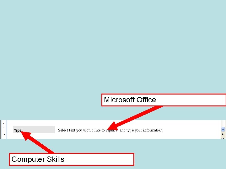 Microsoft Office Computer Skills 