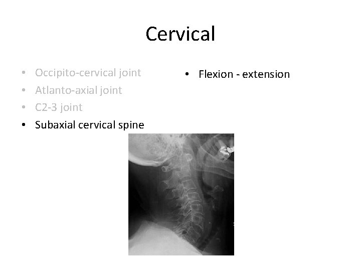 Cervical • • Occipito-cervical joint Atlanto-axial joint C 2 -3 joint Subaxial cervical spine